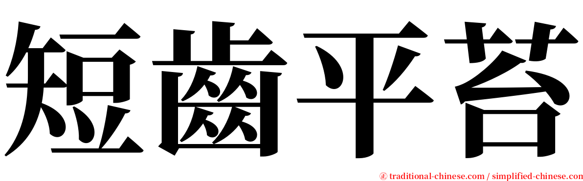 短齒平苔 serif font