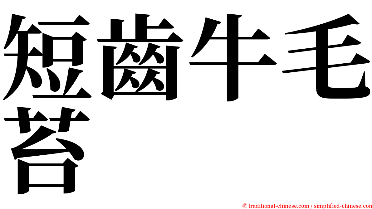 短齒牛毛苔 serif font