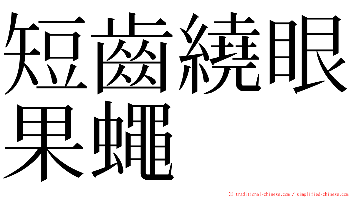 短齒繞眼果蠅 ming font