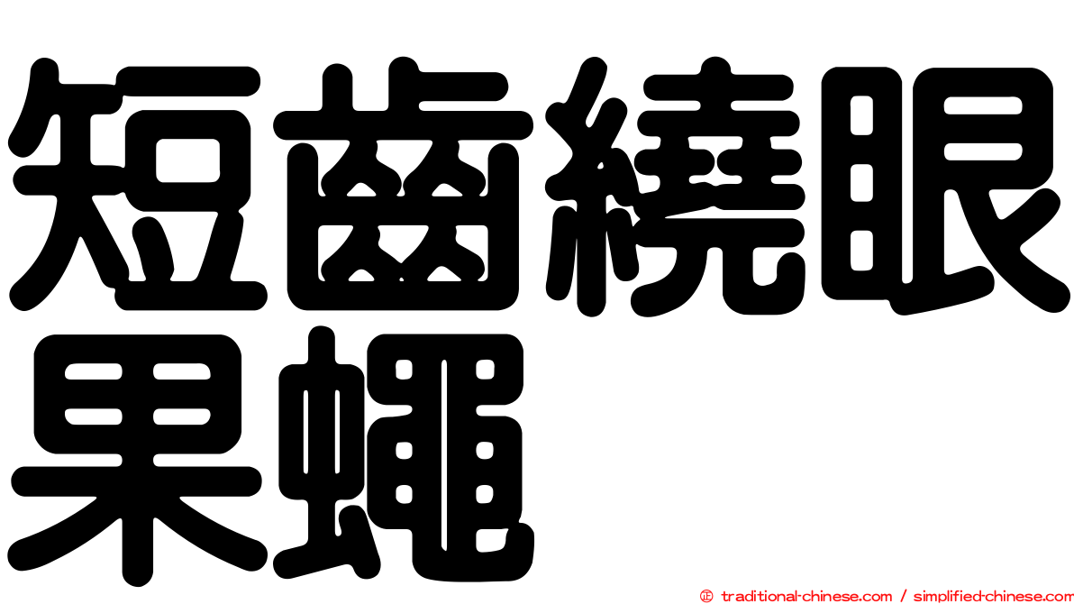 短齒繞眼果蠅