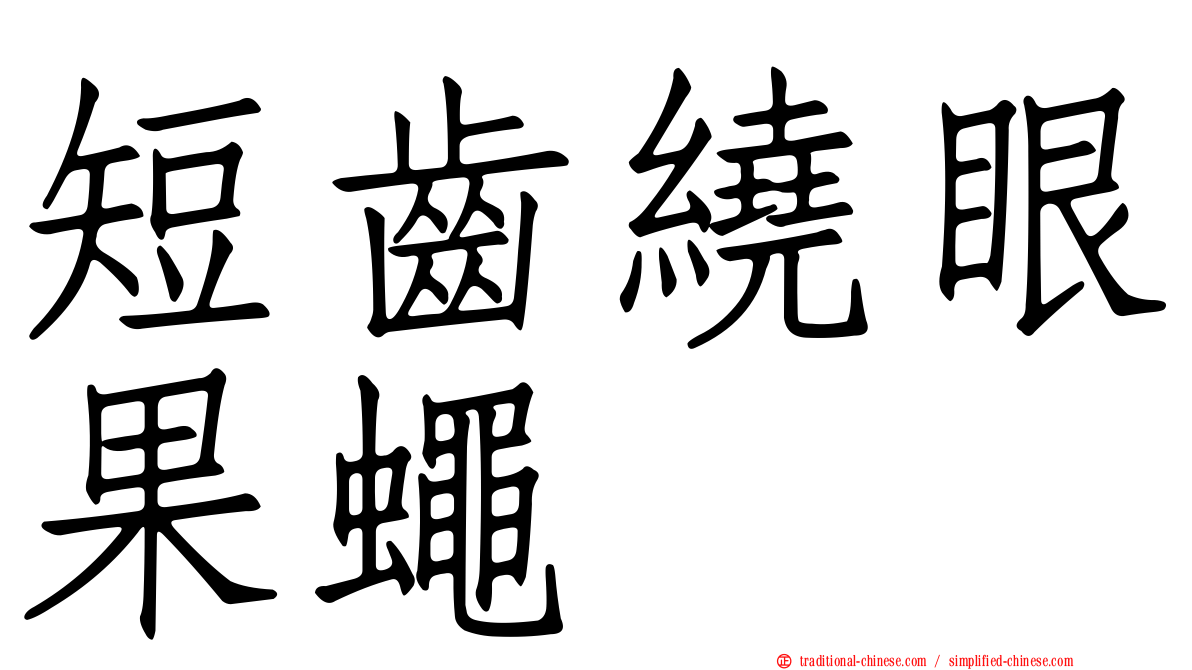 短齒繞眼果蠅