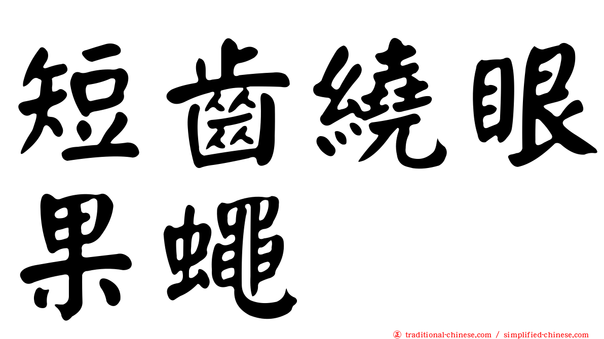 短齒繞眼果蠅
