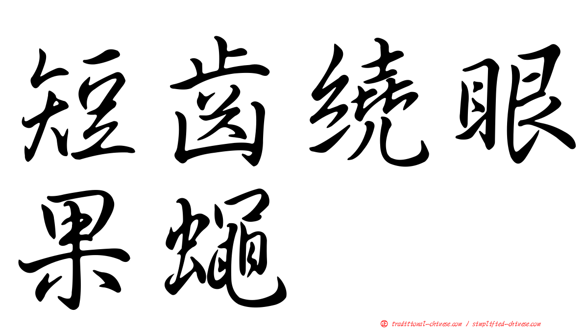 短齒繞眼果蠅