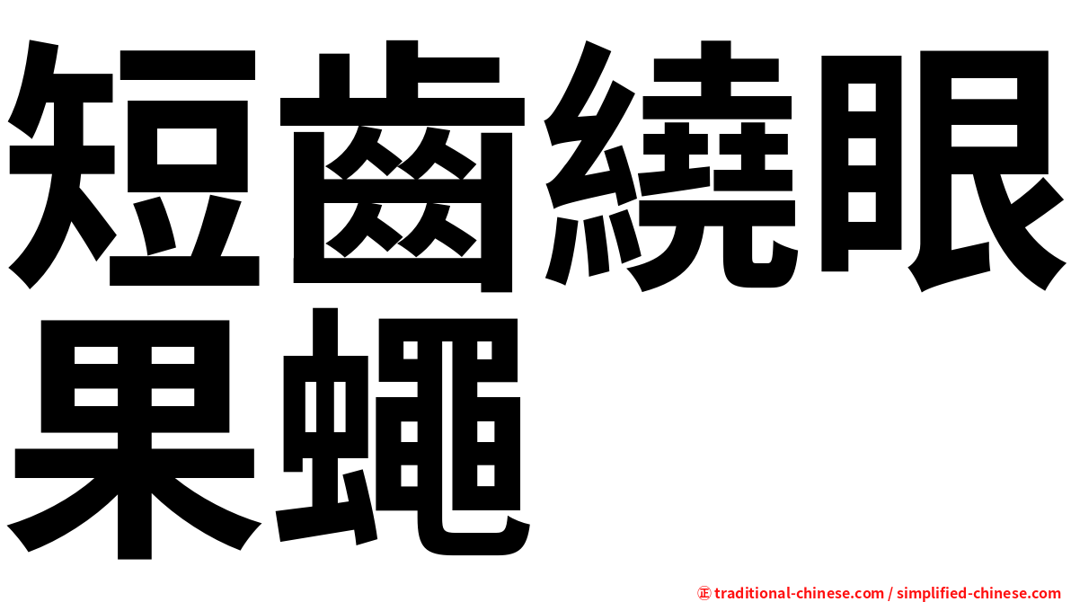 短齒繞眼果蠅