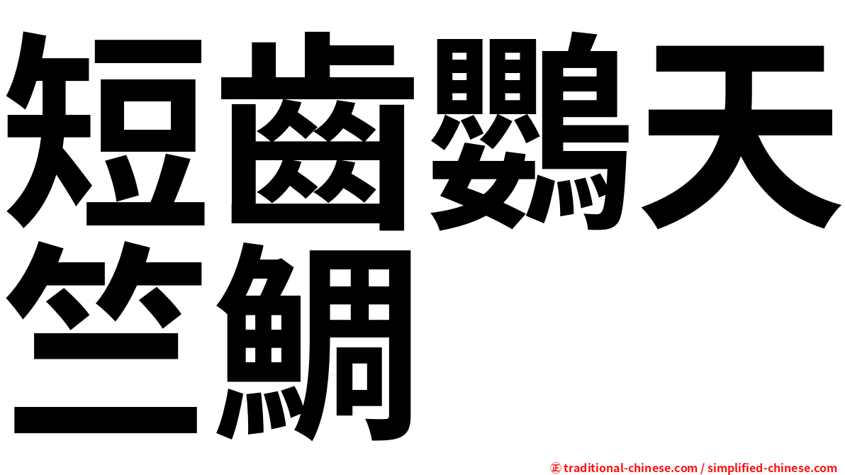 短齒鸚天竺鯛