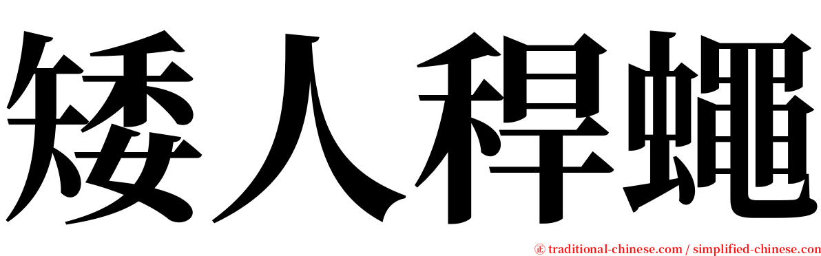 矮人稈蠅 serif font