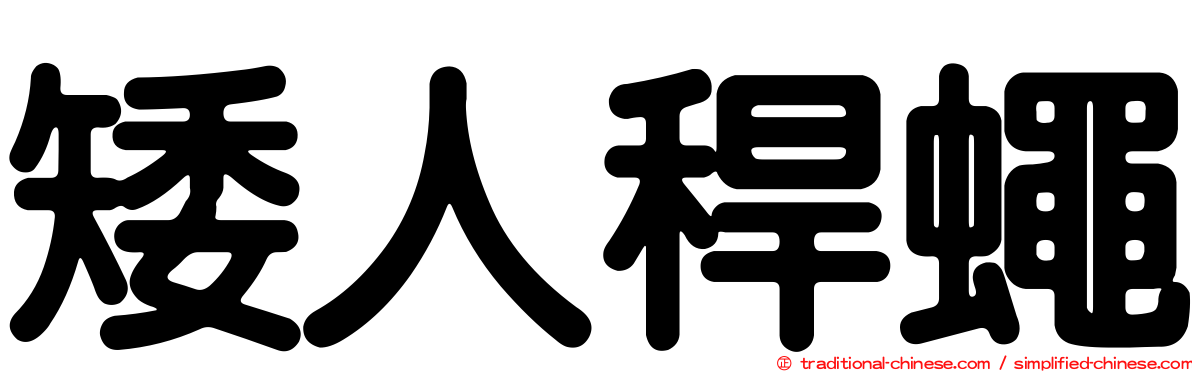 矮人稈蠅