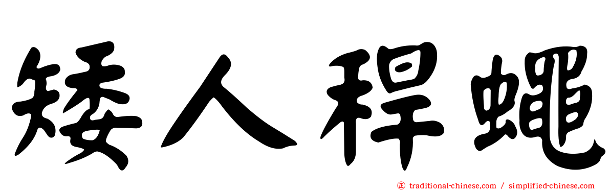 矮人稈蠅
