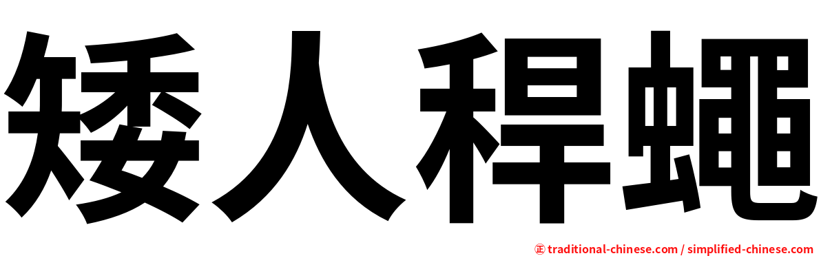 矮人稈蠅