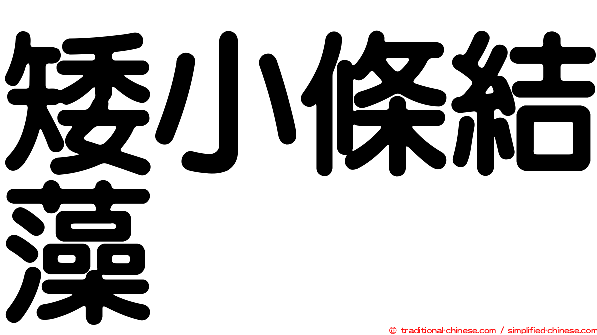 矮小條結藻