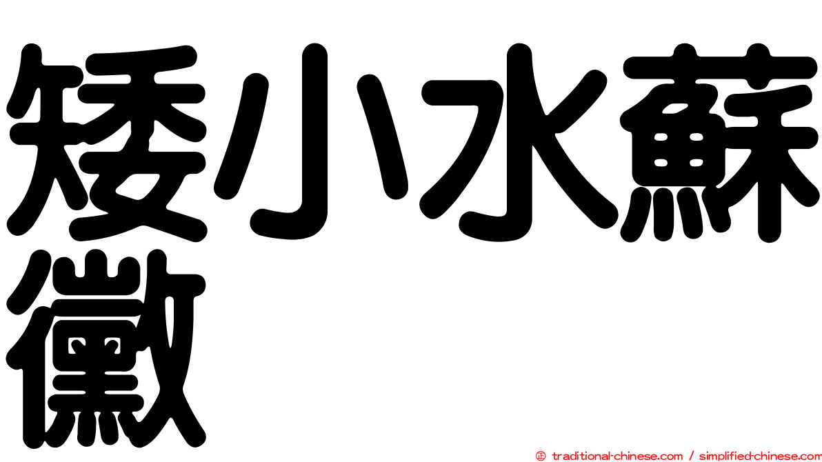矮小水蘇黴