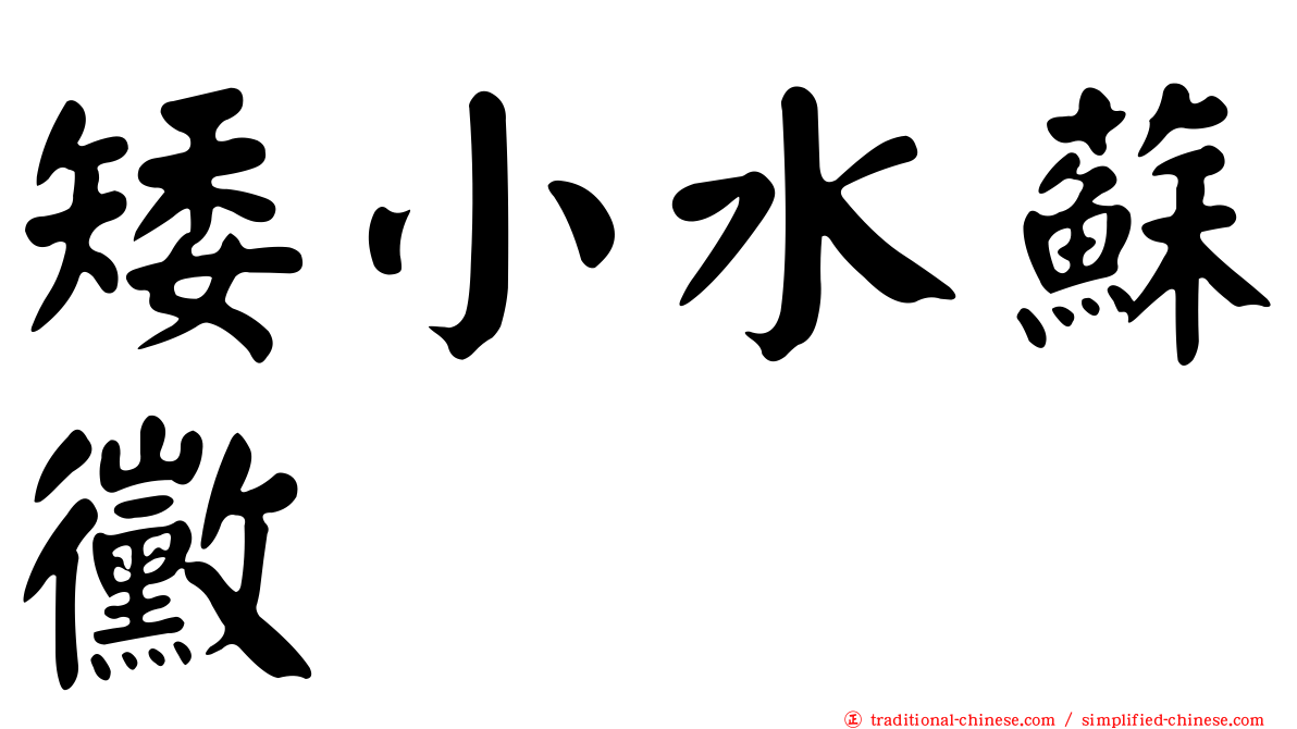 矮小水蘇黴