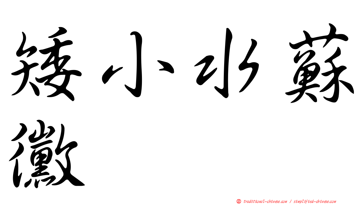 矮小水蘇黴