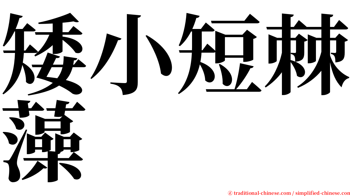 矮小短棘藻 serif font