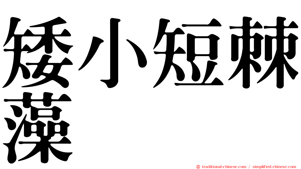 矮小短棘藻