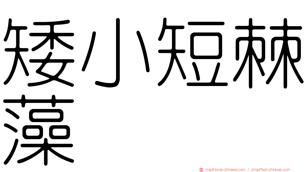 矮小短棘藻