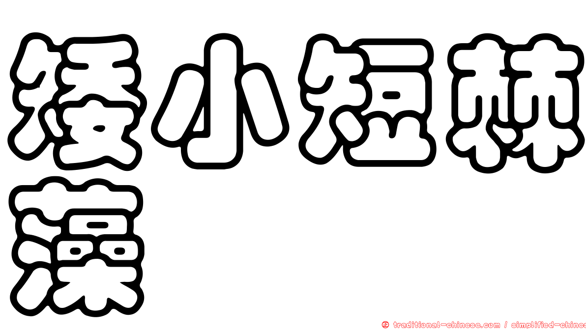 矮小短棘藻