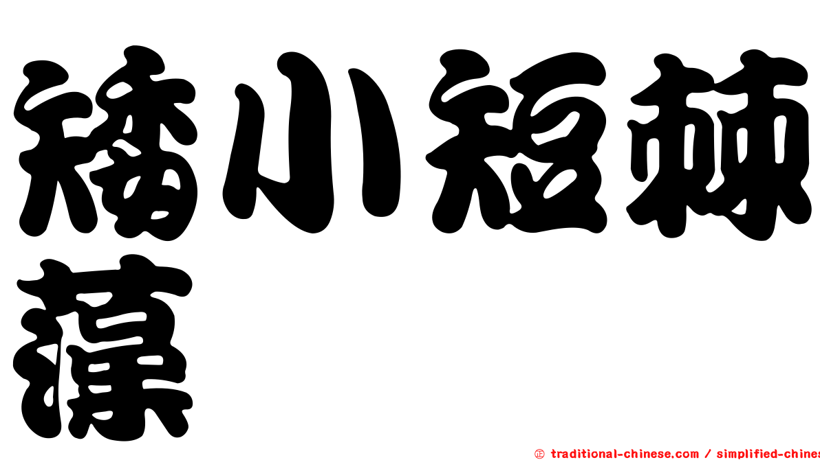 矮小短棘藻