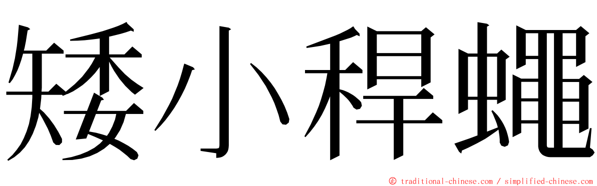 矮小稈蠅 ming font