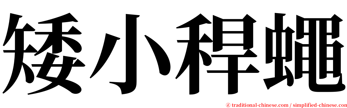 矮小稈蠅 serif font