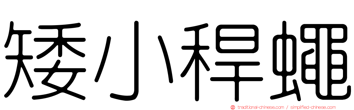 矮小稈蠅