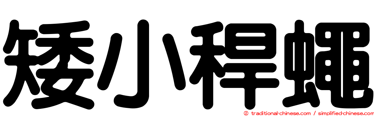 矮小稈蠅