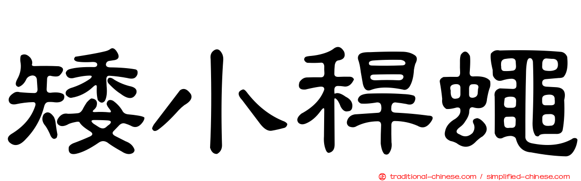矮小稈蠅