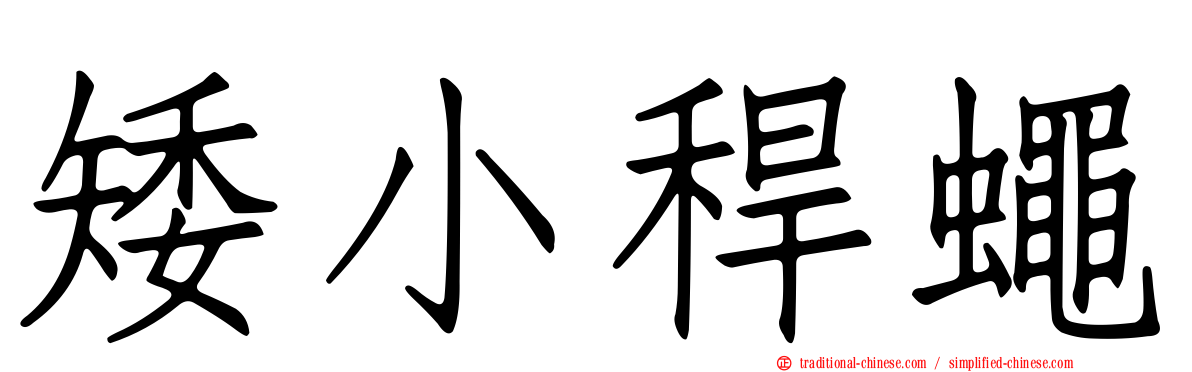 矮小稈蠅
