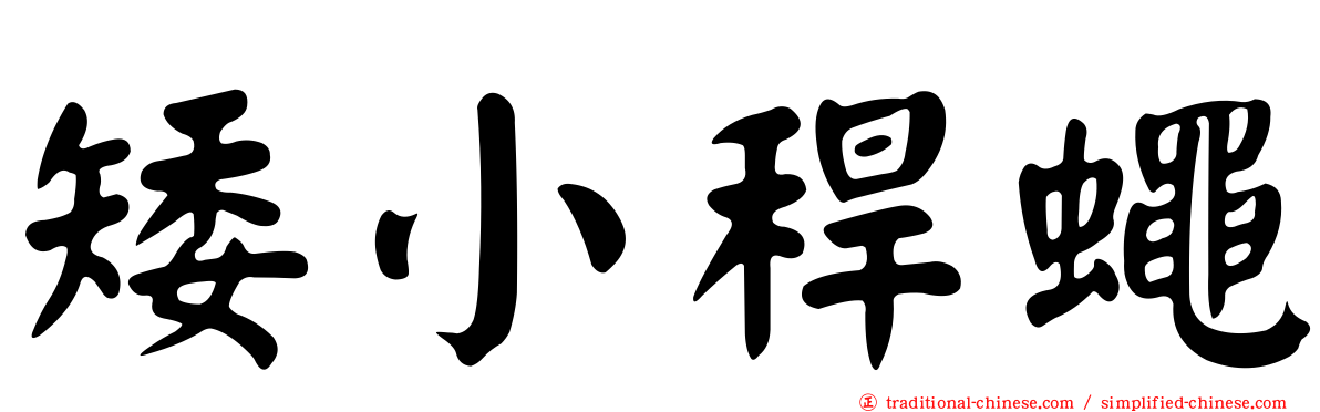 矮小稈蠅