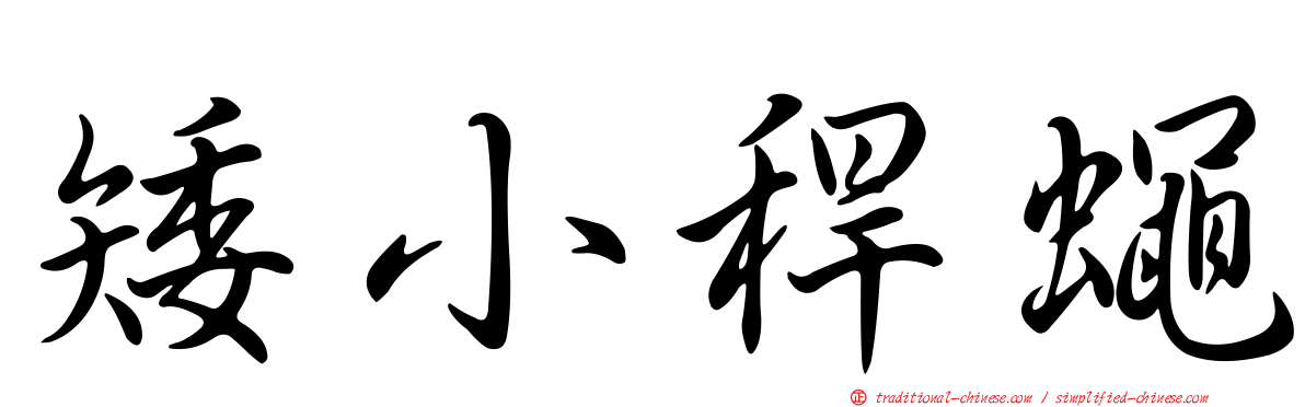 矮小稈蠅