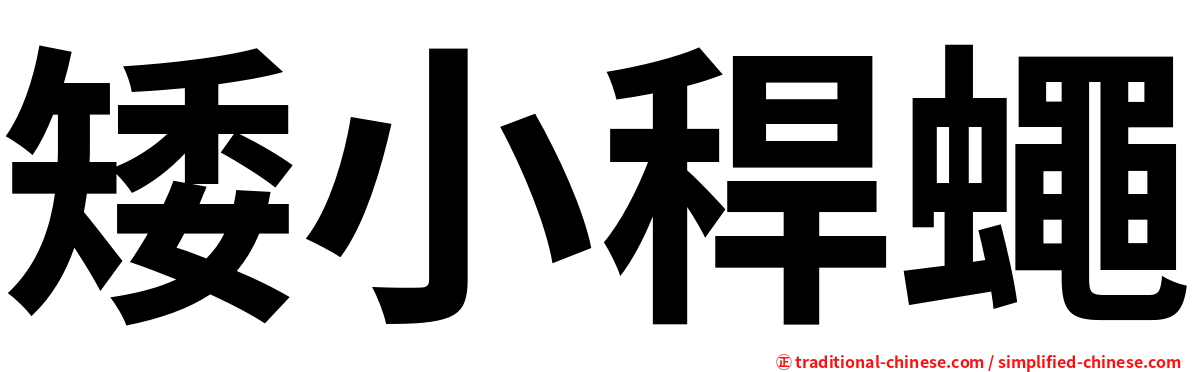 矮小稈蠅