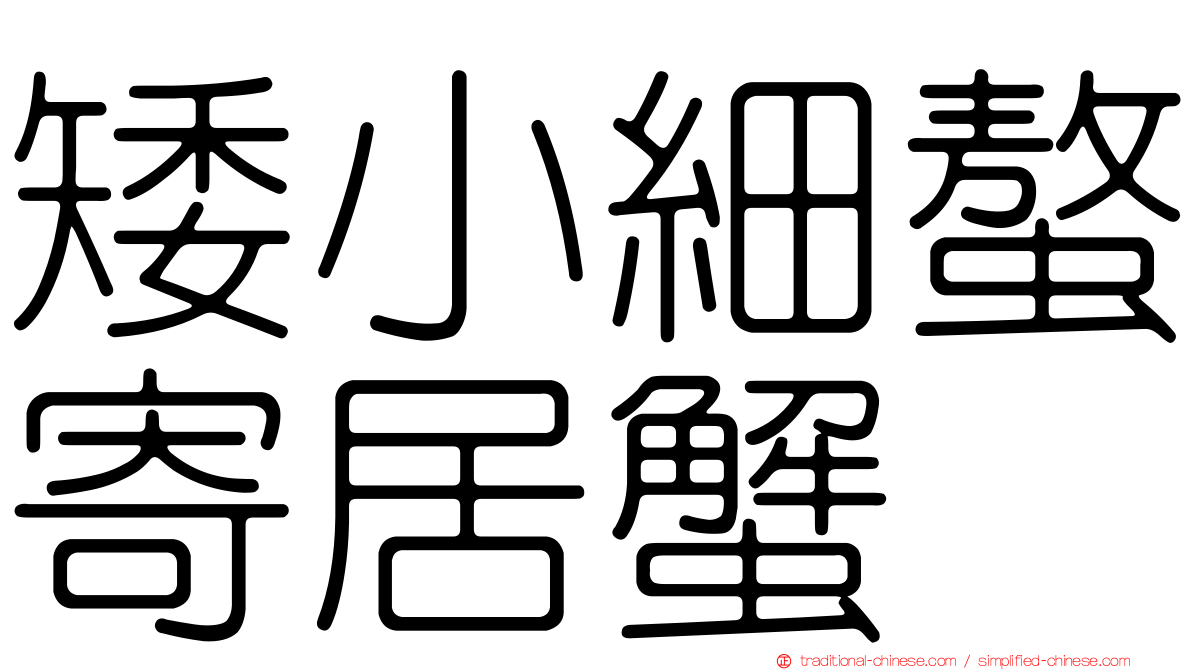 矮小細螯寄居蟹