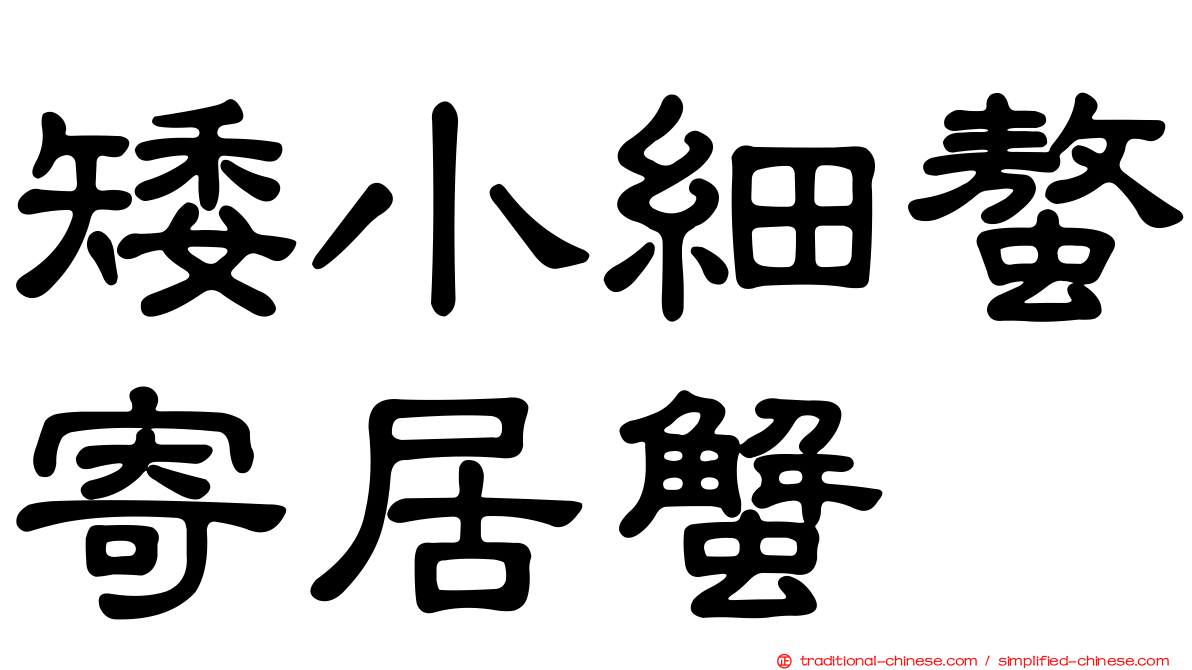 矮小細螯寄居蟹