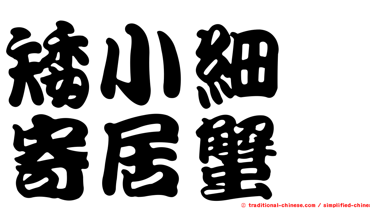 矮小細螯寄居蟹