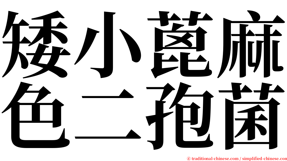 矮小蓖麻色二孢菌 serif font