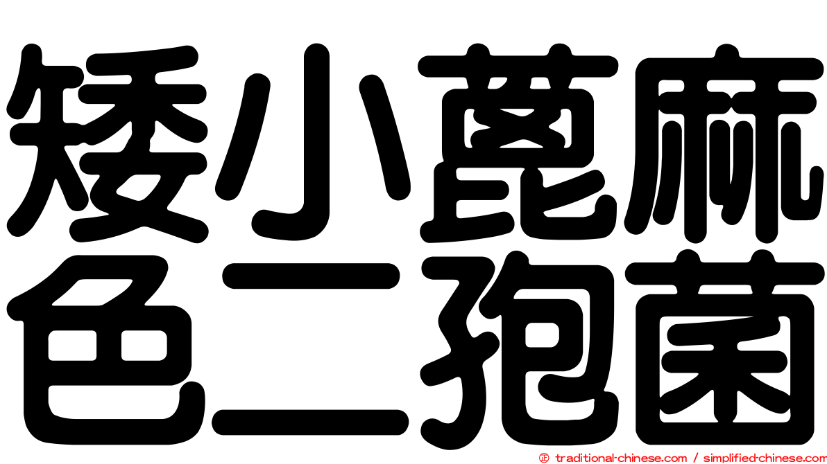 矮小蓖麻色二孢菌