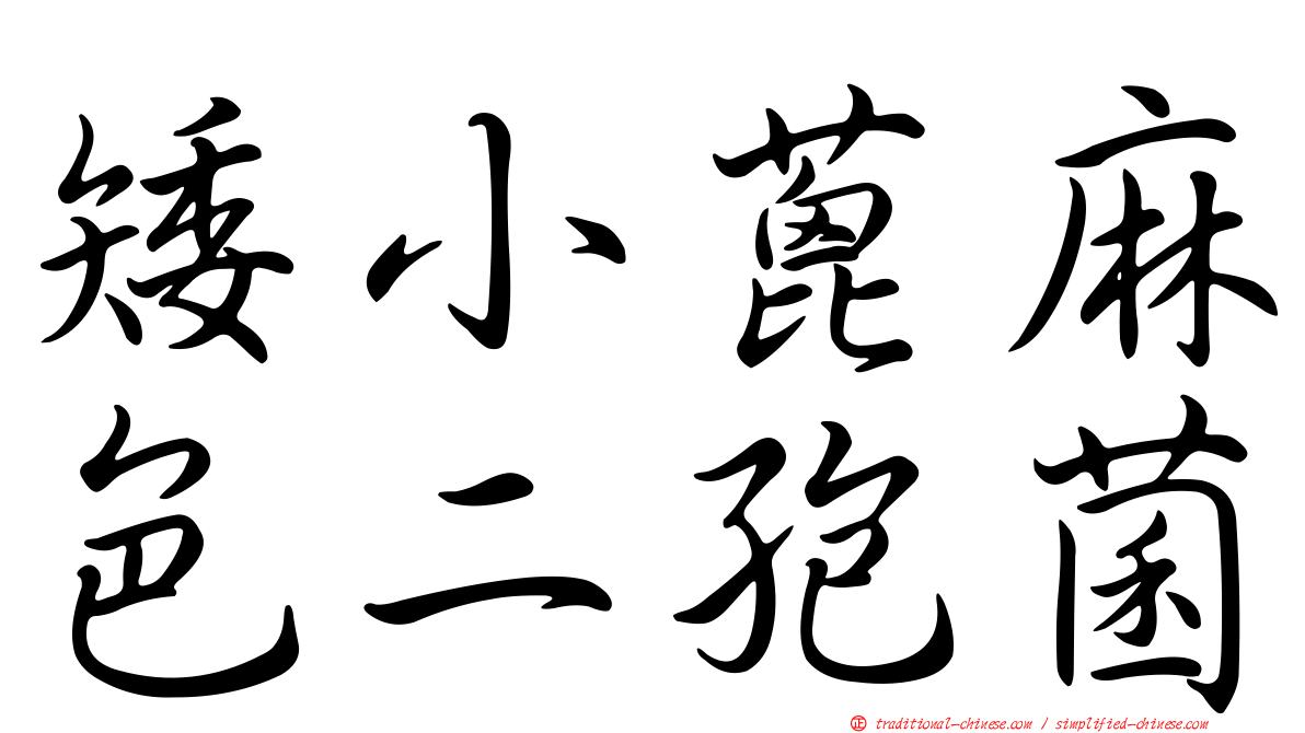 矮小蓖麻色二孢菌