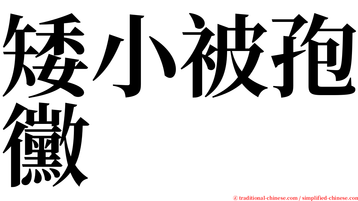 矮小被孢黴 serif font