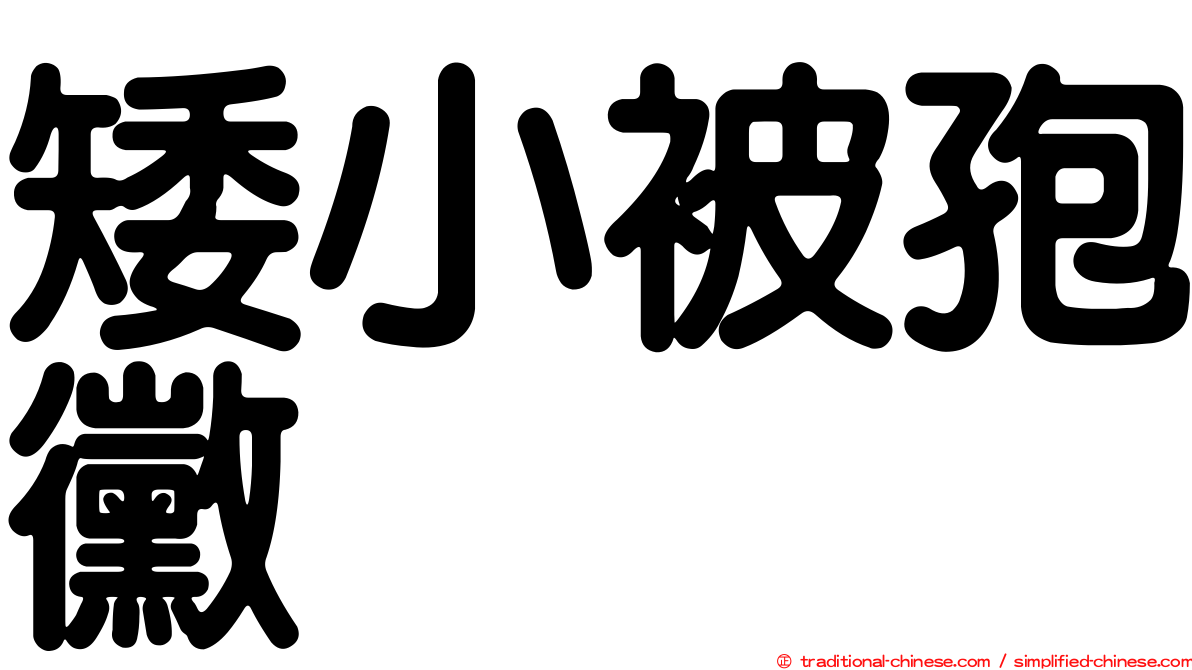 矮小被孢黴