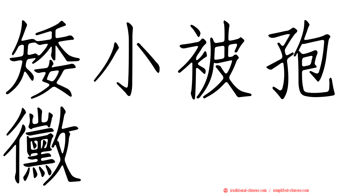 矮小被孢黴