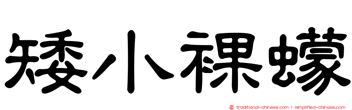矮小裸蠓