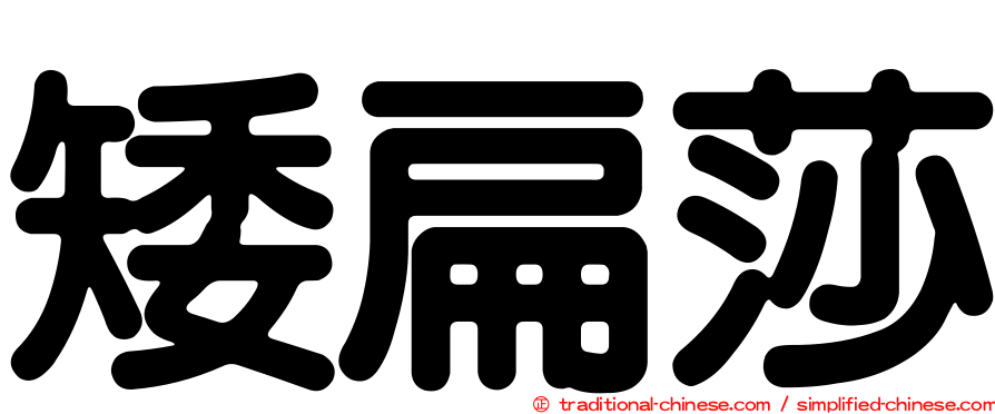 矮扁莎
