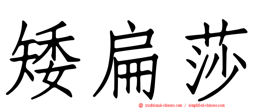 矮扁莎