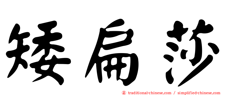 矮扁莎