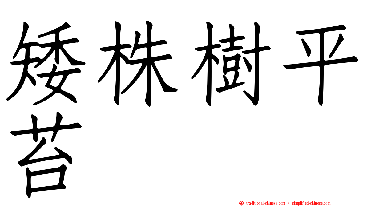 矮株樹平苔