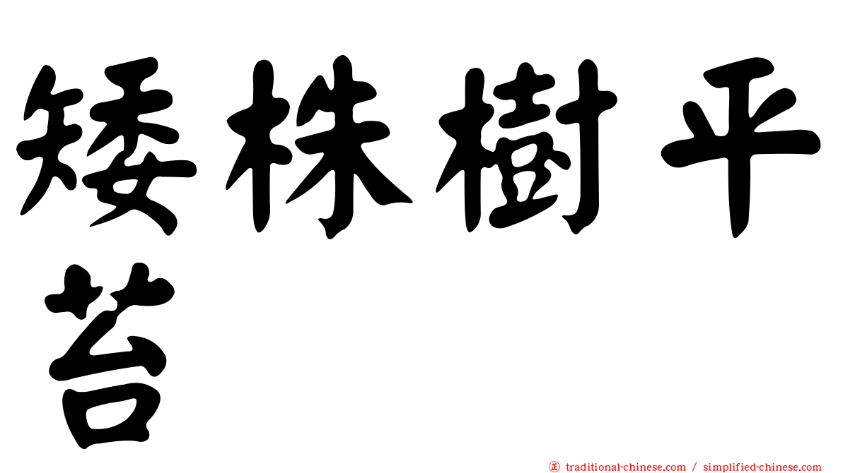 矮株樹平苔