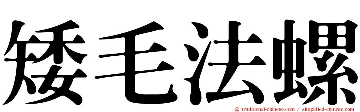 矮毛法螺