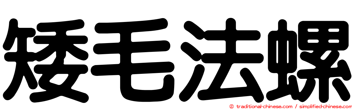 矮毛法螺