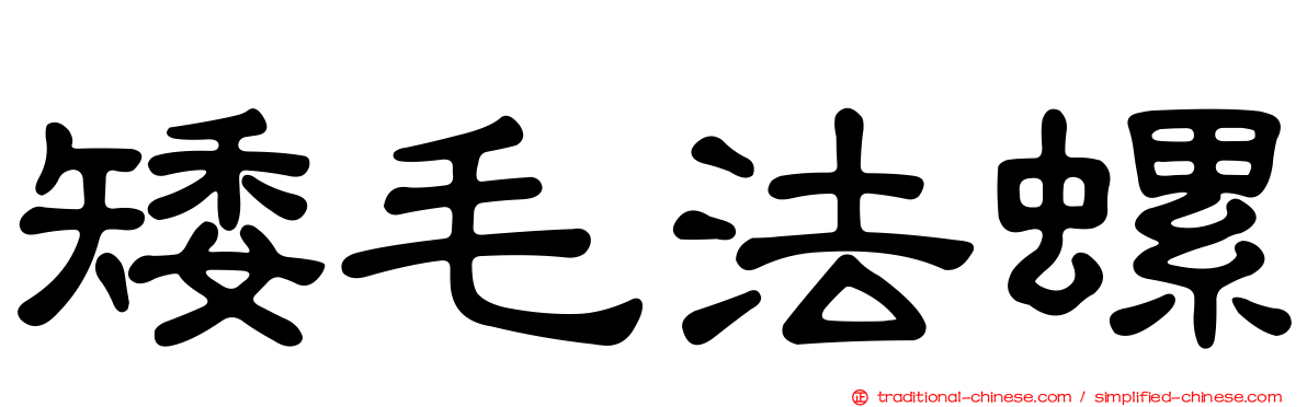矮毛法螺