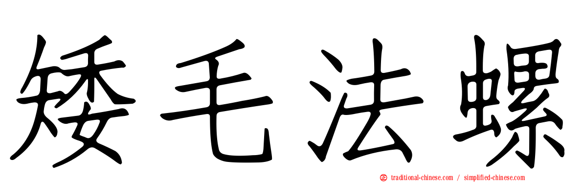 矮毛法螺